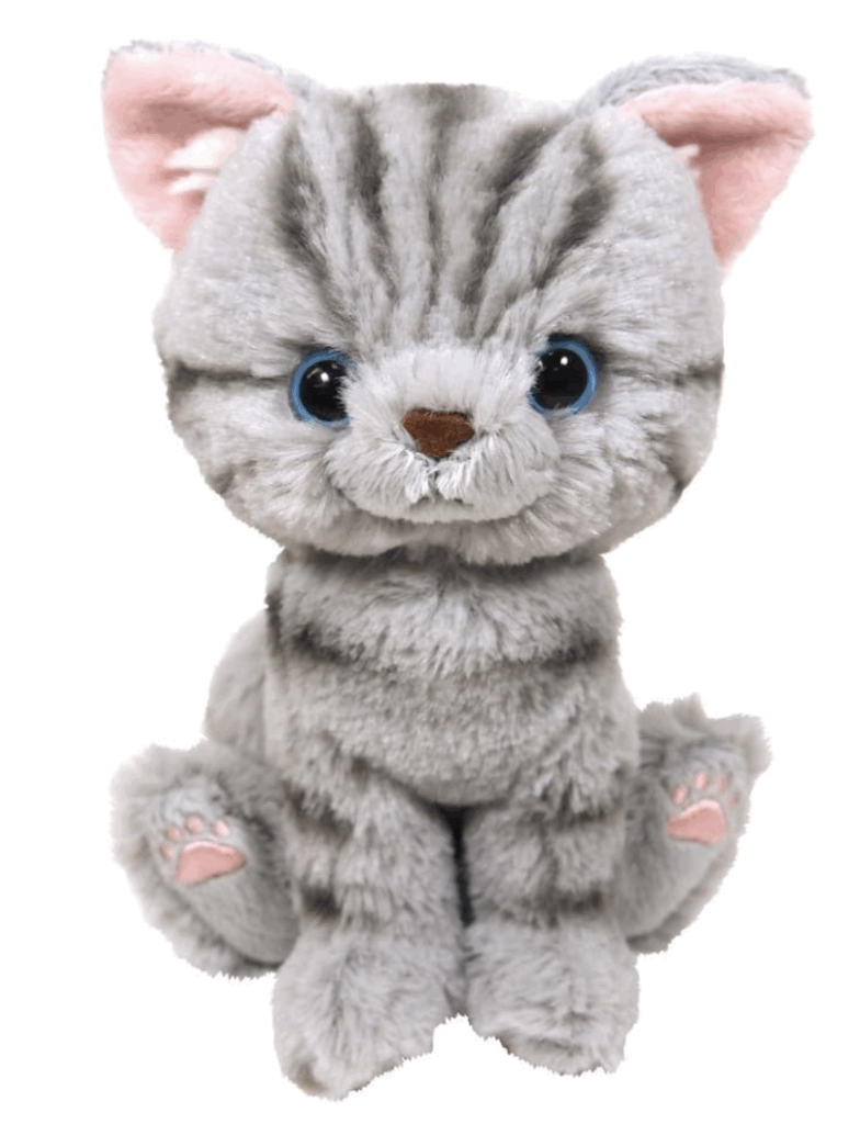 ソラくんのぬいぐるみ